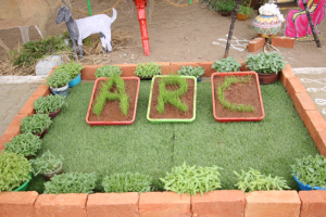 ARC-Nature